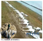 1477443655548827.jpg - Nmgcb.Com.Cn