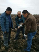 呼伦贝尔市：鄂伦春旗农机管理站指导督察深松整地 - 农业机械化信息