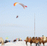 呼伦贝尔举行冬季骆驼文化节 大雪原迎旅游热 - 内蒙古新闻网