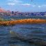 乌海湖水利风景区的八大壮美景观 - 正北方网