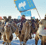 内蒙古首届赛驼大会暨苏尼特右旗第十一届骆驼文化节举行 - 正北方网