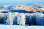 内蒙古有一种美景叫雾凇，美如仙境宛若童话 - 正北方网