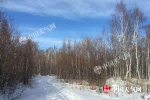 内蒙古雪后风冷缓旱情 未来三天气温仍低迷 - 气象