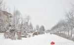 内蒙古“七九”迎春雪 设施农业受影响 - 气象