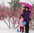 壮美内蒙古 万里雪飘 - 正北方网