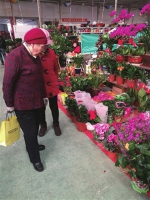 内蒙古花卉市场“升温” 明起大风降温 - 气象