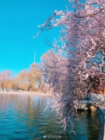 樱花季拍照标配樱花妆5步就可以完成 - 正北方网