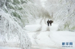 内蒙古、黑龙江遭遇雨雪冰雹天气现“初夏冬景” - Nmgcb.Com.Cn