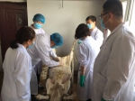 内蒙古自治区畜牧工作站开展幼畜超数排卵及体外胚胎生产技术示范推广 - 农业厅