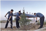 义务植树造林 - 正北方网