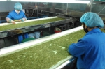 巴彦淖尔创建国家级出口食品农产品质量安全示范市 - 中小企业