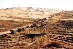 联合国环境署：库布其，我们的沙漠，我们的家园 - 科技厅