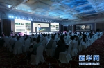 中国创业创新博览会马铃薯产业创新与发展论坛举行 - 科技厅