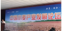 2017年中国小麦发展论坛会在新疆昌吉州举办 - 农业厅