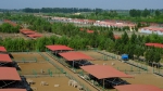 第十四届中国羊业发展大会9月19日至21日在临河举行 - 正北方网