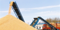开鲁县140万亩玉米喜获丰收 - 正北方网