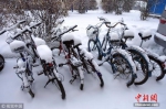 11月14日，内蒙古呼伦贝尔市牙克石康乐小区，一排自行车上落满积雪。余昌军 摄 图片来源：视觉中国 - Nmgcb.Com.Cn