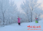 2041566393 - 正北方网