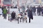 12月25日，选手在参加2017第五届中国冷极节系列活动之一驯鹿拉雪橇比赛。 - Nmgcb.Com.Cn