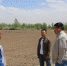内蒙古向日葵示范推广团队赤峰市科技人员深入田间指导工作 - 农业厅