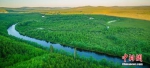 内蒙古大兴安岭20年累计完成人工造林超266万亩 - Nmgcb.Com.Cn