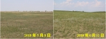 内蒙古自治区草原牧草长势监测报告（6月） - 农业厅
