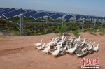中国第七大沙漠“沙进人退”到“绿进沙退”的转变 - Nmgcb.Com.Cn