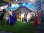 马产业首次亮相内蒙古绿色农畜产品博览会 - 农业厅