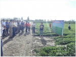 全国特色油料作物绿色高产高效技术培训班新疆乌鲁木齐举办 - 农业厅