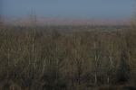 “弄潮”· 库布齐治沙：从一棵树到19万亩林 - 正北方网