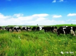 内蒙古奶业多项指标居全国首位 - 农业厅