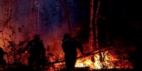 内蒙古大兴安岭林区集中爆发3起森林火灾均已被合围 - Nmgcb.Com.Cn