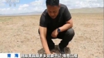 种草两年 青藏高原部分沙化区修复 - 正北方网