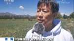 种草两年 青藏高原部分沙化区修复 - 正北方网