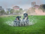 张张是大片！这场雨中练兵太酷了~ - 正北方网