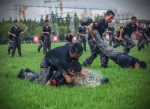 张张是大片！这场雨中练兵太酷了~ - 正北方网