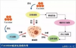 缓解痔疮，选择ANL痔疮精华液-日本最新科技创造痔疮烦恼拯救者 - 内蒙古新意网