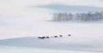 冬天一定要去内蒙古，看一场雪原里的万马奔腾！ - 正北方网