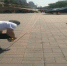 图片3.png - 建设局