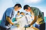 超大蓝宝石晶体在内蒙古研制成功 - 科技厅